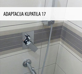 Adaptacija 17